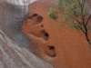 Ayers Rock