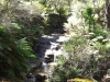 Leura Cascades