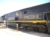 Indian Pacific