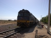 Indian Pacific