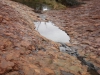 Kata Tjuta