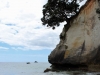 Cathedral Cove