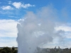 Geysir