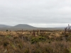 Tongariro National Park