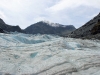 Fox Glacier