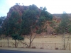 Heavitree Gap